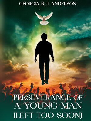 cover image of Perseverance of a Young Man